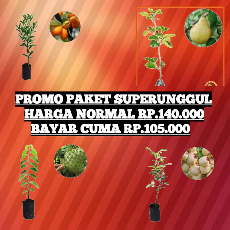 PROMO PAKET SUPERUNGGUL.(JERUK NAGAMI. PEAR HIJAU. SURIKAYA JUMBO. KELENGKENG AROMA DURIAN)