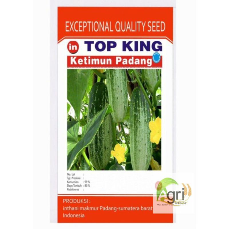 BENIH KETIMUN TOP KING PADANG // BENIH MENTIMUN // BENIH TIMUN