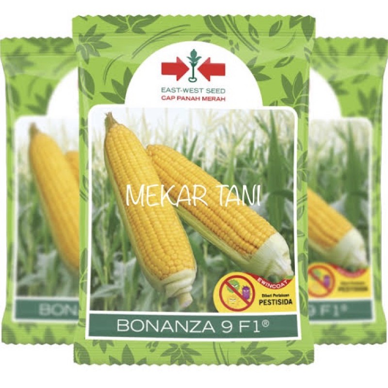 Benih Jagung Manis Bonanza 9 F1 1800 butir