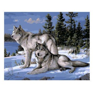 

Produk Terbaru Diy Painting By Number 50X40Cm Lukisan Kanvas Animals