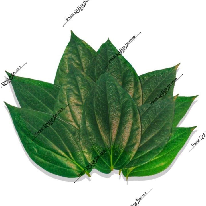 Daun Sirih Per ikat