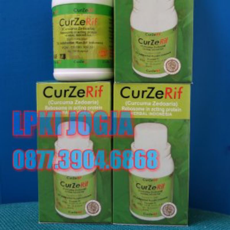 Curzerif Temu Putih Curcuma zedoaria