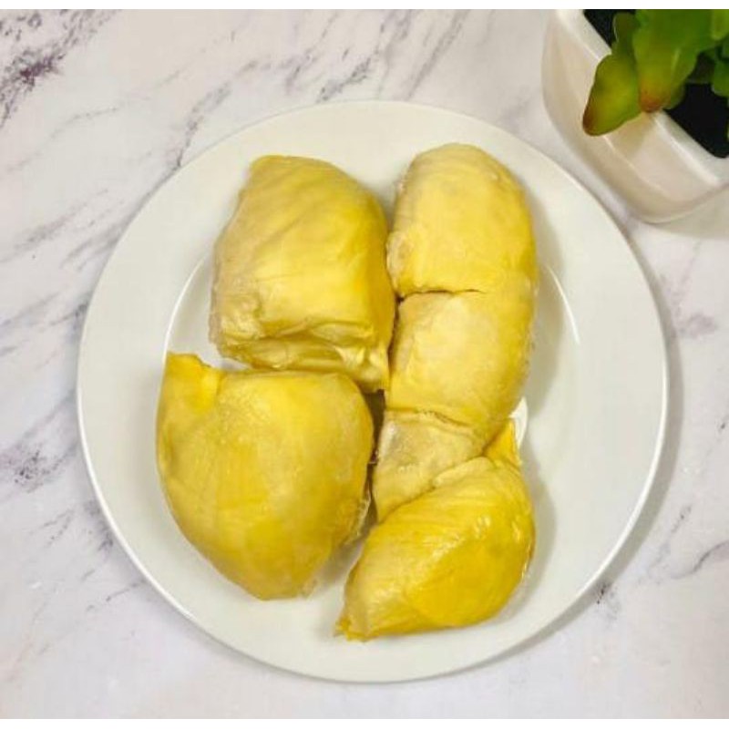 DURIAN MONTHONG PALU ASLI PARIGI