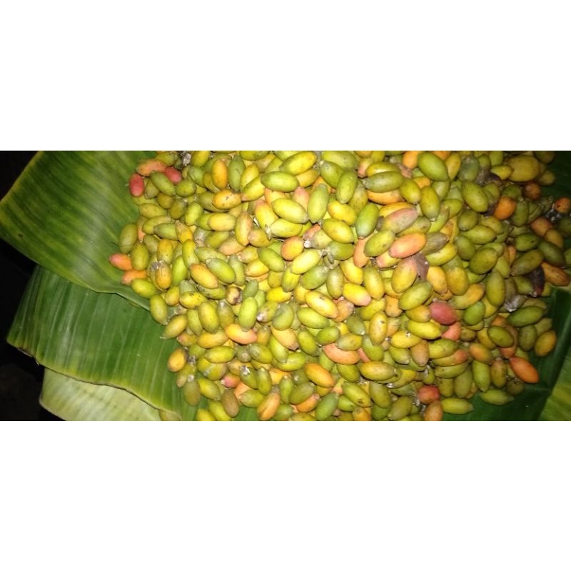 

Sayur Biji Melinjo Belinjo Bago
