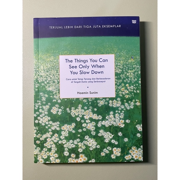 The Things You Can See Only When You Slow Down [preloved]