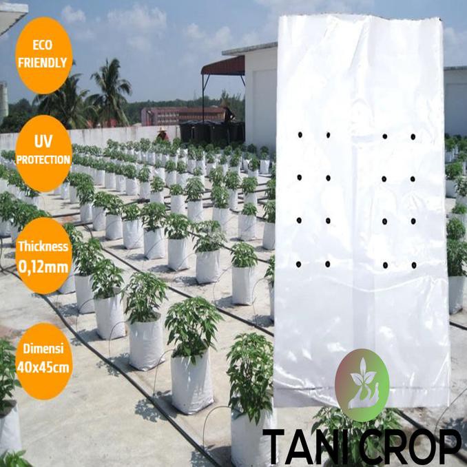 Ready Oke] Plastik Polibag Polybag Putih 40X45Cm 25 Lembar/Pack Premium