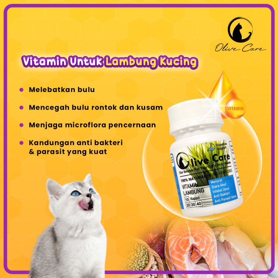 Olive Care Vitamin Lambung Kucing Mencret, Diare Akut, Pup Berdarah, Radang Usus