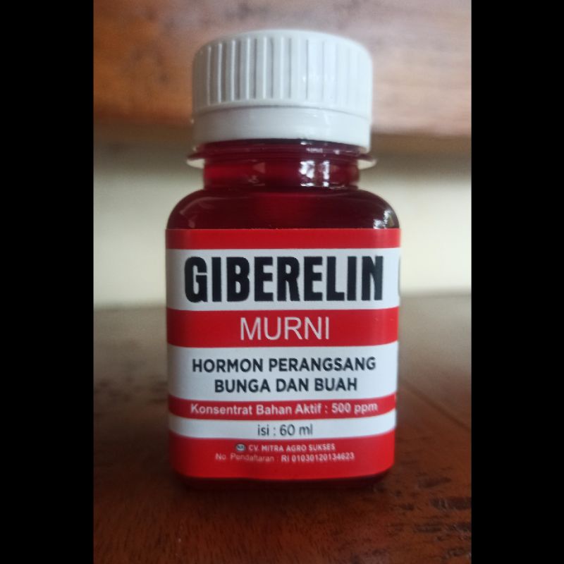 GIBERLIN, AUKSIN, ANRIN, SITOKININ (HORMON TANAMAN)