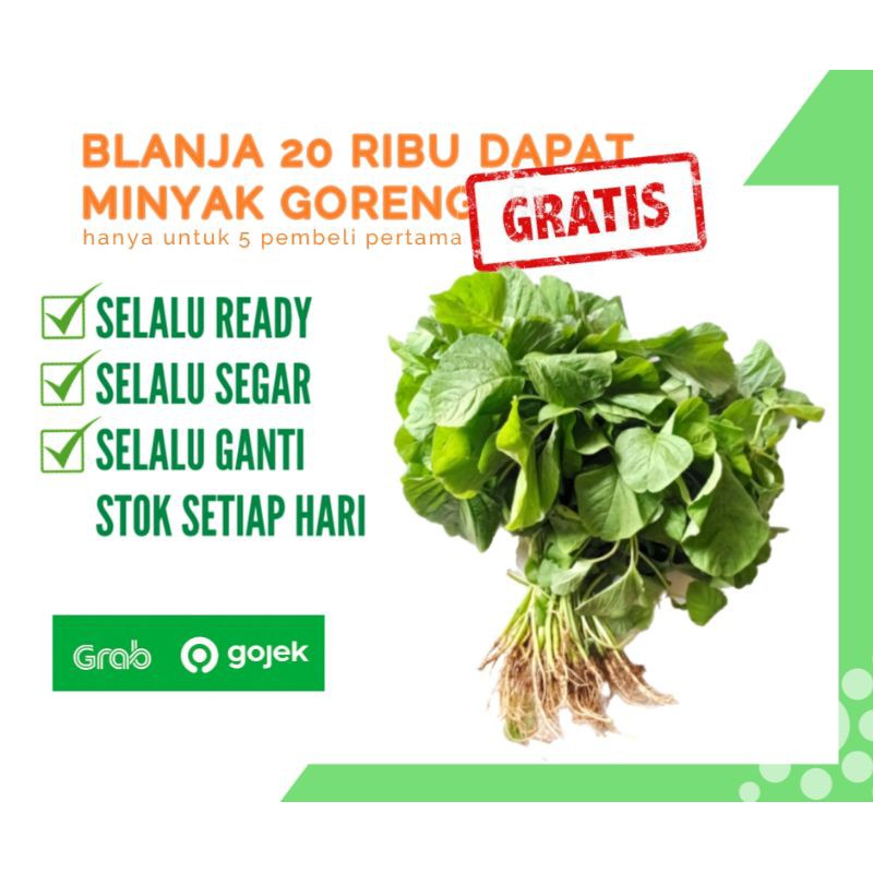 

BAYAM FRESH 1 IKAT (400 GR)