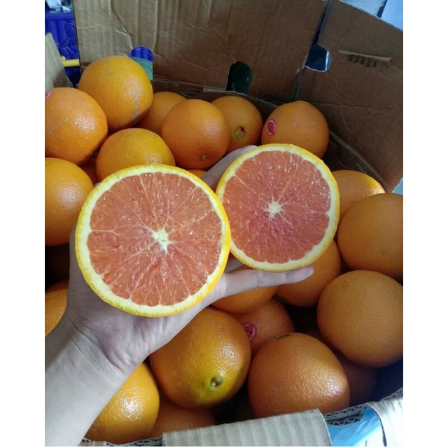 

SUNKIST NAVEL ORANGES CARA-CARA FRESH 1 KG