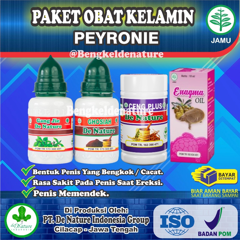 Obat Peyronie Herbal Penis Bengkok Mr P Sakit Di Sertai Benjolan Sakit Kapsul Original De Nature Amp