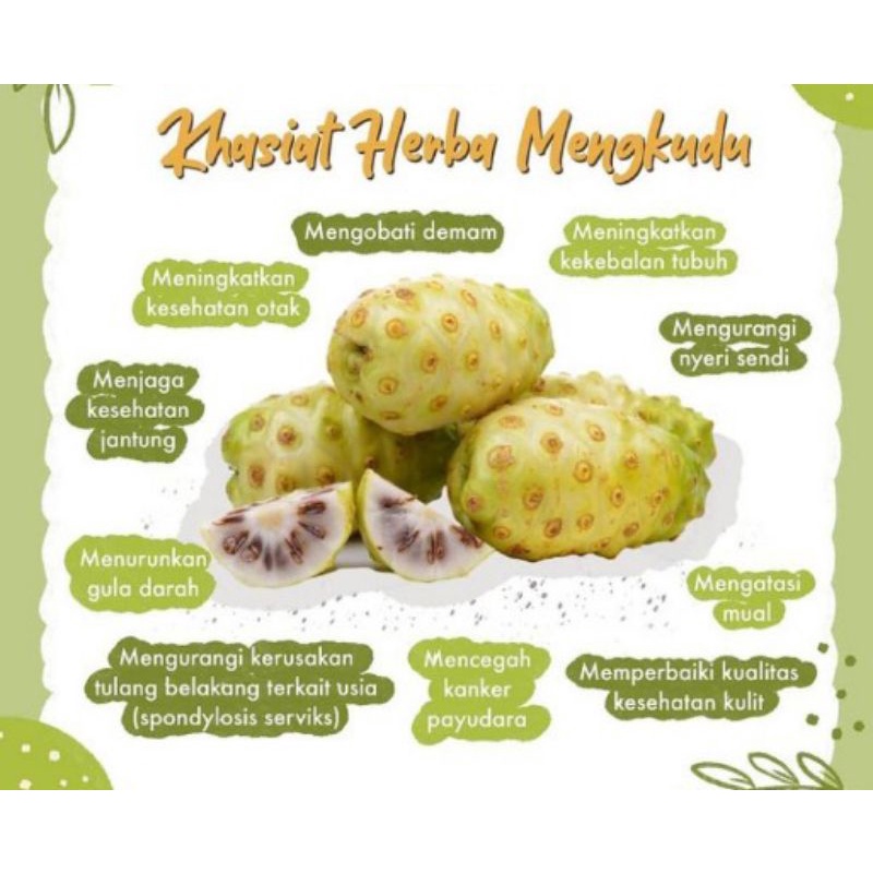 

Buah Mengkudu Matang Frozen 500gram