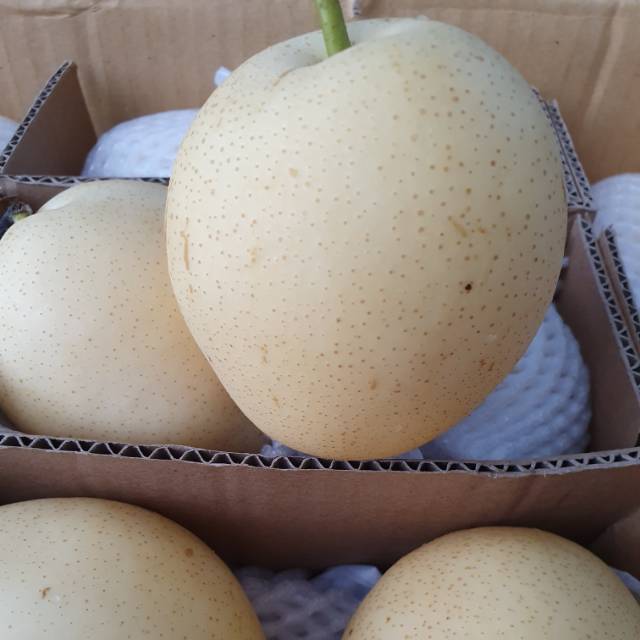 

Buah Pear Pir Century Import Fresh Per Kilogram