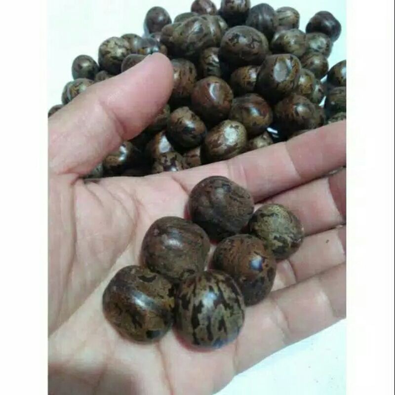 

biji karet