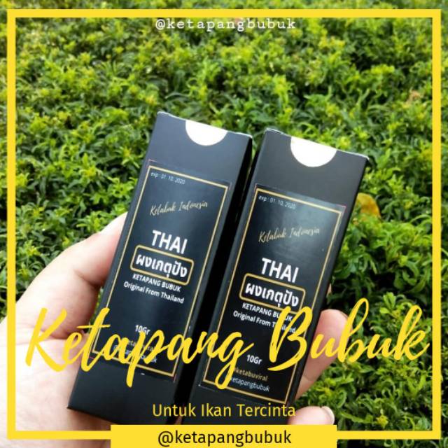 Ketapang bubuk dari thailand cupang guppy ikan hias