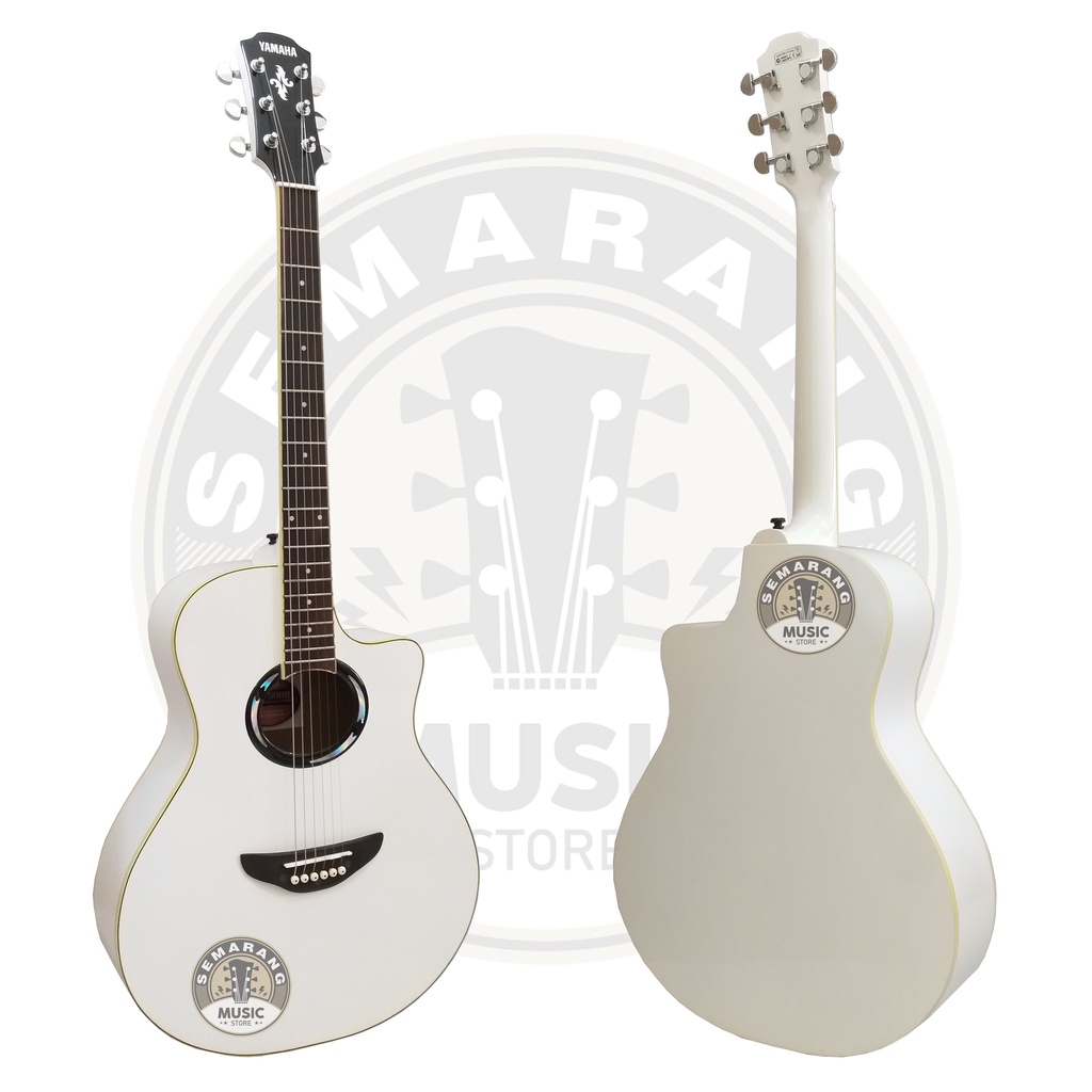 Gitar Akustik APX 500II Custom Paket Super Komplit Termurah Kualitas Terjamin