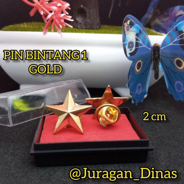 2 PCS PIN BINTANG GOLD + BOX