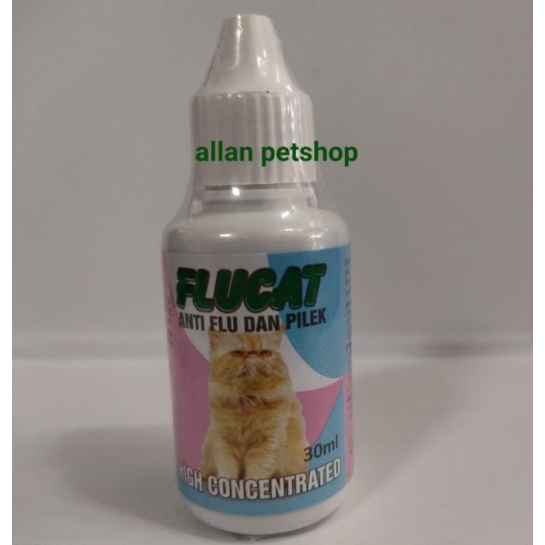 obat kucing flucat