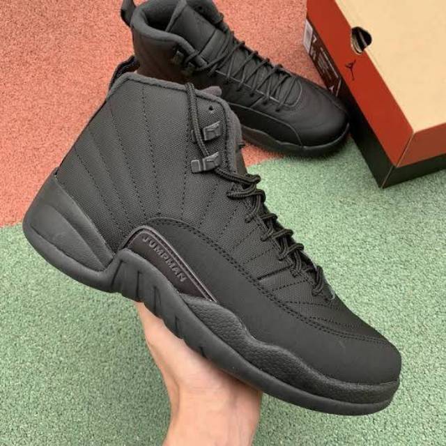 nike air jordan 12s