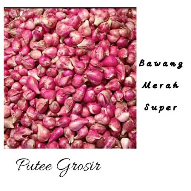 

Bawang Merah Brebes ( 1kg )