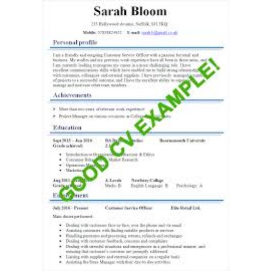 

Bikin Good CV (Curriculum Vitae)