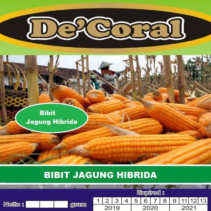 Produk Ready Bibit Jagung Hibrida De'Coral Berkualitas| Benih Jagung Hibrida