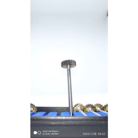 mata bor jin bonsai perbiji