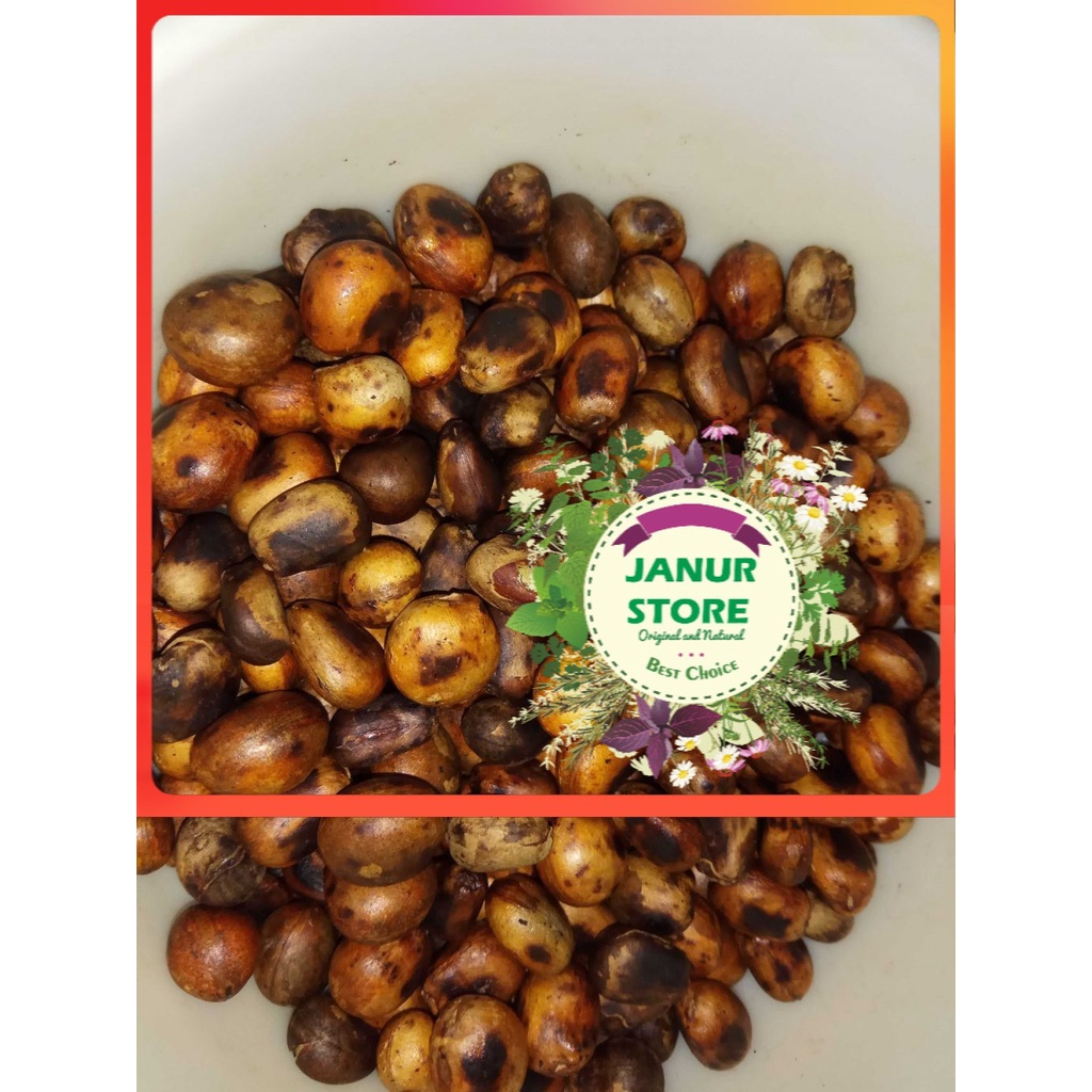

BIJI BENDO 250 GRAM - Artocarpus elasticus - MURNI - JSR - REMPAH