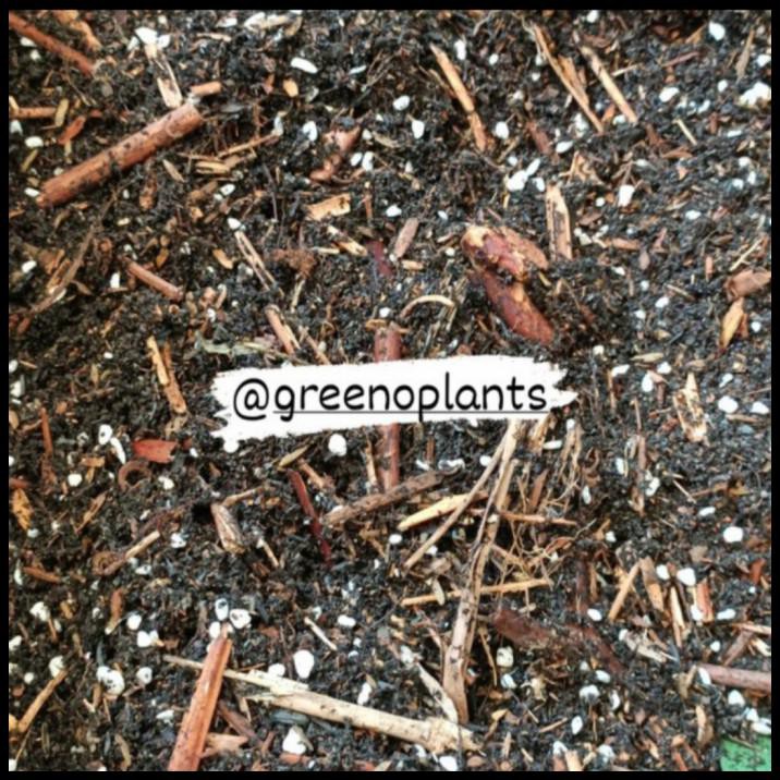 

Media Zuper Greenoplants 7 Kg