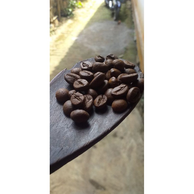 

Kopi biji sangrai robusta murah temanggung