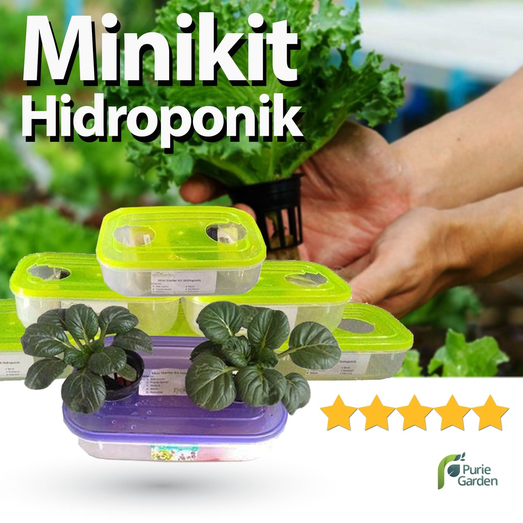 Minikit Hidroponik PG KDR