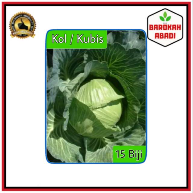 15 Biji - Benih Kubis SUMGREEN F1 khusus dataran rendah - menengah