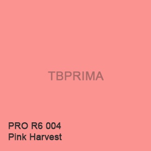 Cat Tembok Lenkote Aquamatt Tinting 5kg PRO R6 004 (Pink Harvest)