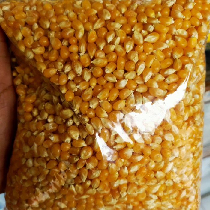 

JAGUNG POPCORN MENTAH 1KG