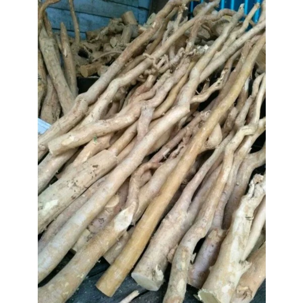 [AKAR TONGKAT ALI]BONGKAHAN AKAR PASAK BUMI ASLI KALIMANTAN.