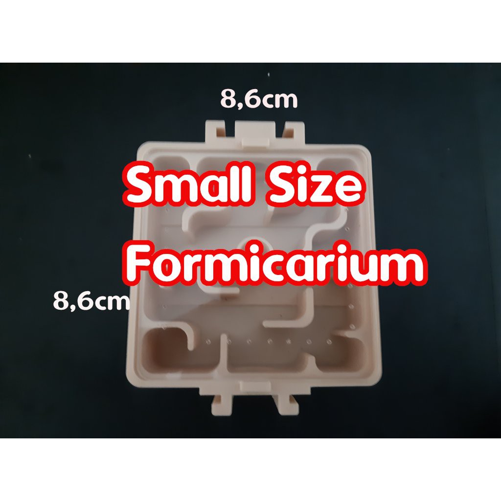 Small Size Formicarium - Ant Nest
