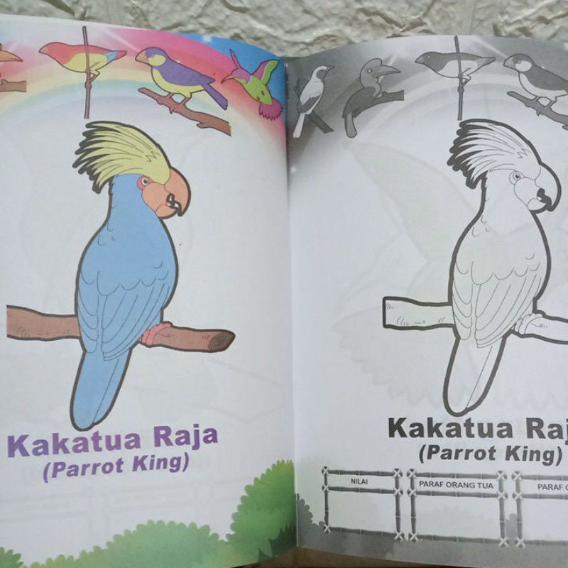 Buku Mewarnai Burung Untunk Anak Paud/Tk