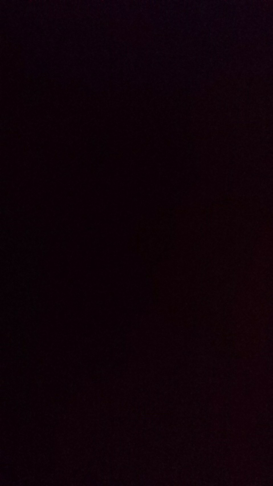 Shabu Shabu Hot Pot Panci Stainless Steel Hot Pot 2 Sekat 28cm