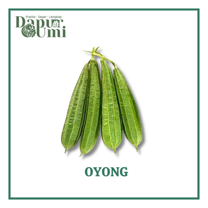 

OYONG / EMES - SAYUR SAYURAN SEGAR PURWAKARTA