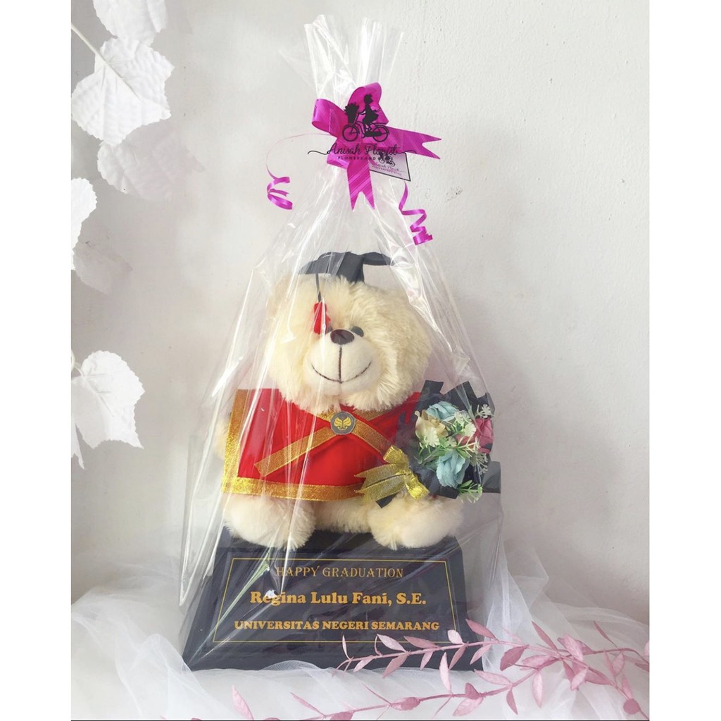 Piala Boneka Wisuda | Piala Boneka Profesi | Piala Boneka | Graduation Gift | Kado Wisuda