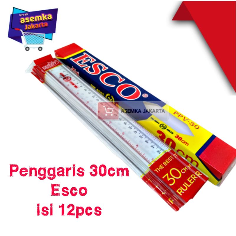 Penggaris 30cm The Best Ruler  Esco isi 12pcs