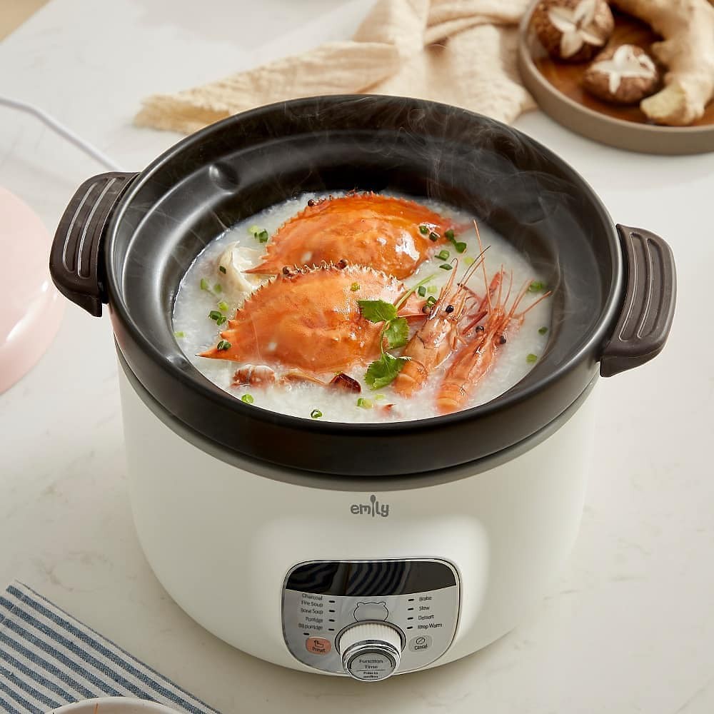 Castle - Emily ESC-33002 Slow Cooker 2.8L - SLOW COOKER CLAY COATED POT Multifungsi