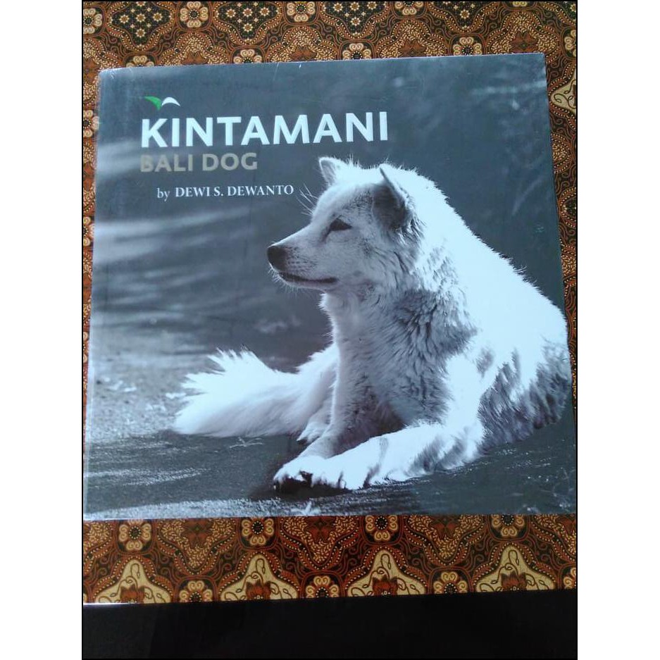 Special Kintamani Bali Dog Paling Dicari Shopee Indonesia