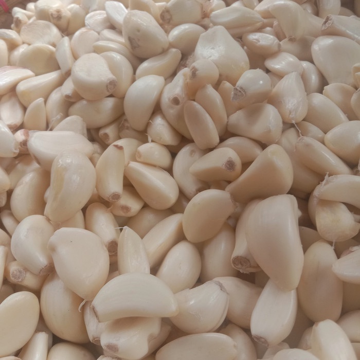 

Siap Kirim Bawang Putih Kupas 1 Kg