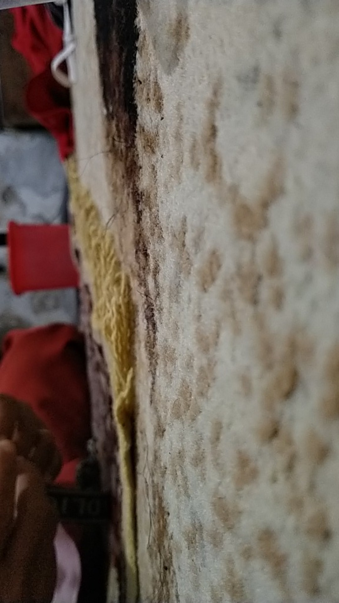 Engsel Muller Stainless Steel Ukuran  3 Inch 4 Inch 5 Inch / Engsel Muller