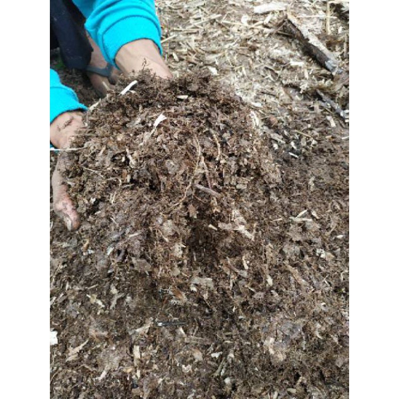 tanah gembur humus bambu media tanam no 1