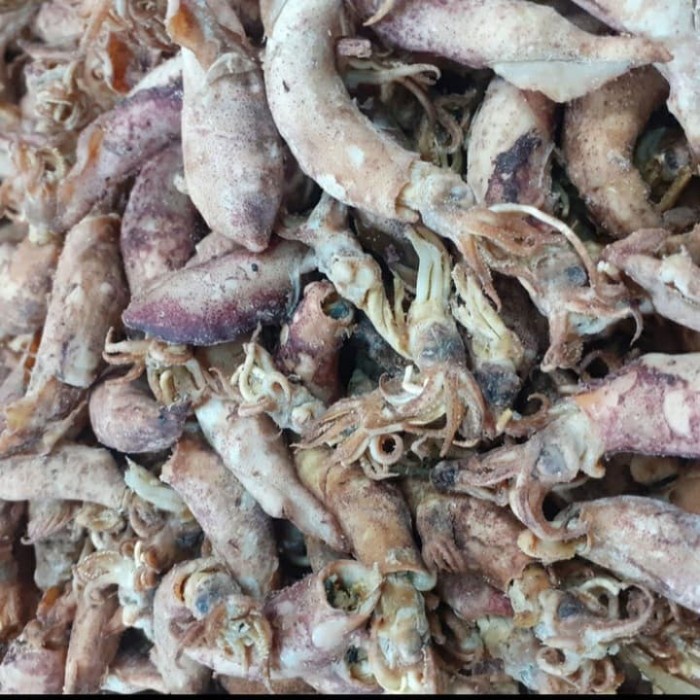 

Cumi Mentah Kering/Cumi Asin Khas Medan 250 gram