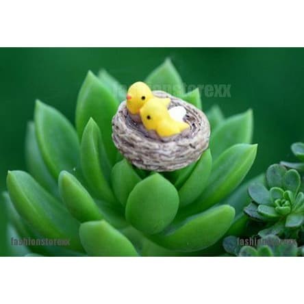 Miniatures - Terrariums - Fairy Garden - Animal_Birds (1pc)