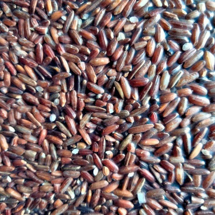 

Beras Merah 1kg Organik Superfood Multivitamin