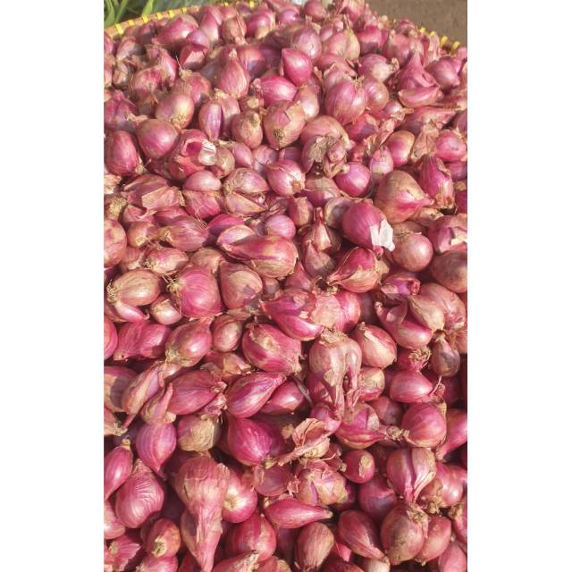 

Bawang merah SUPER 1kg 1kg